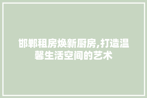 邯郸租房焕新厨房,打造温馨生活空间的艺术