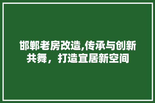 邯郸老房改造,传承与创新共舞，打造宜居新空间