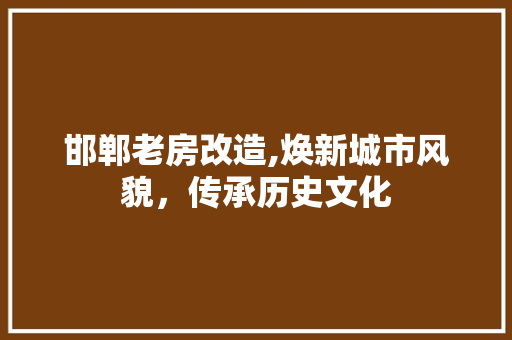 邯郸老房改造,焕新城市风貌，传承历史文化