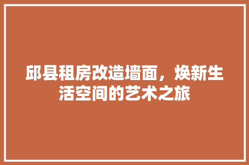 邱县租房改造墙面，焕新生活空间的艺术之旅 墙体维修