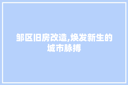 邹区旧房改造,焕发新生的城市脉搏