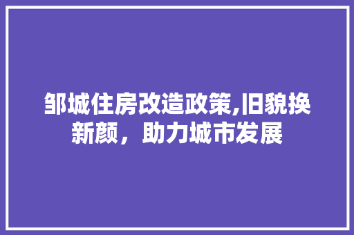 邹城住房改造政策,旧貌换新颜，助力城市发展