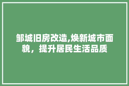 邹城旧房改造,焕新城市面貌，提升居民生活品质