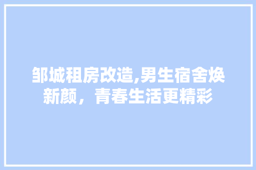 邹城租房改造,男生宿舍焕新颜，青春生活更精彩