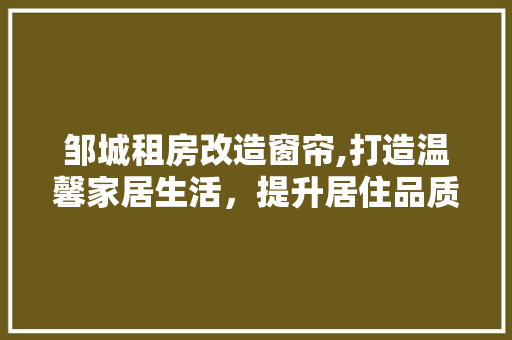 邹城租房改造窗帘,打造温馨家居生活，提升居住品质