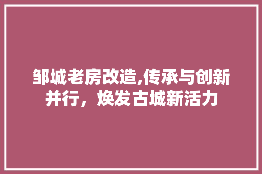 邹城老房改造,传承与创新并行，焕发古城新活力