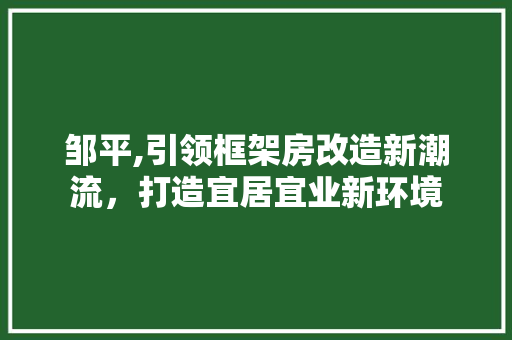 邹平,引领框架房改造新潮流，打造宜居宜业新环境