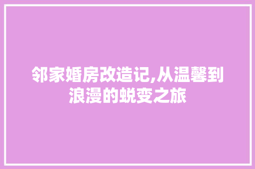 邻家婚房改造记,从温馨到浪漫的蜕变之旅
