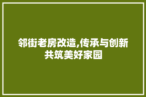 邻街老房改造,传承与创新共筑美好家园