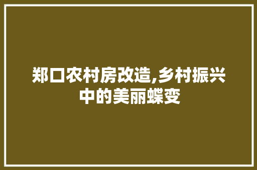 郑口农村房改造,乡村振兴中的美丽蝶变