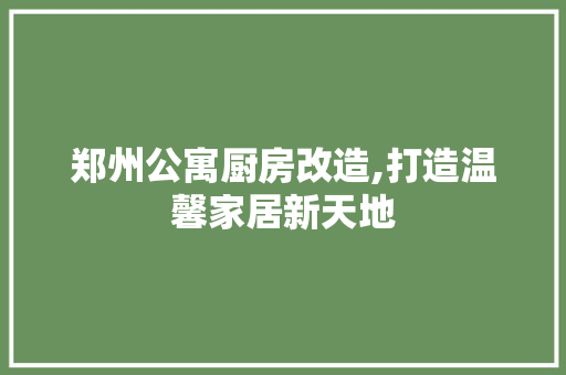 郑州公寓厨房改造,打造温馨家居新天地