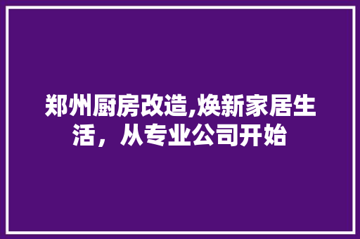 郑州厨房改造,焕新家居生活，从专业公司开始