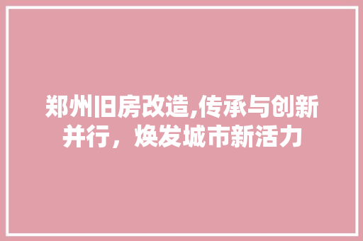 郑州旧房改造,传承与创新并行，焕发城市新活力