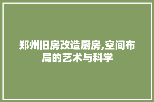 郑州旧房改造厨房,空间布局的艺术与科学