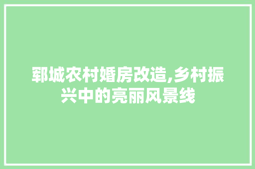 郓城农村婚房改造,乡村振兴中的亮丽风景线