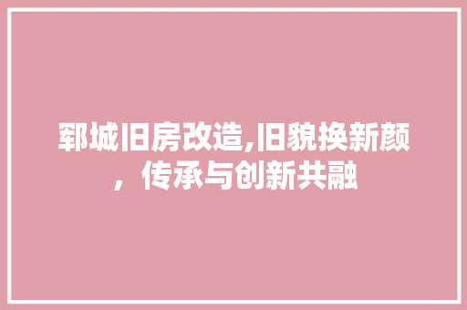 郓城旧房改造,旧貌换新颜，传承与创新共融