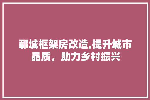 郓城框架房改造,提升城市品质，助力乡村振兴