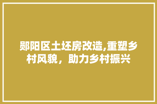 郧阳区土坯房改造,重塑乡村风貌，助力乡村振兴