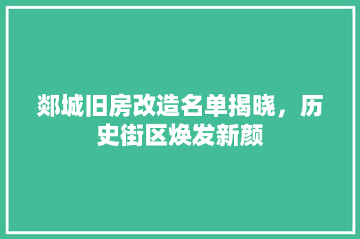 郯城旧房改造名单揭晓，历史街区焕发新颜
