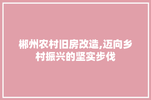 郴州农村旧房改造,迈向乡村振兴的坚实步伐
