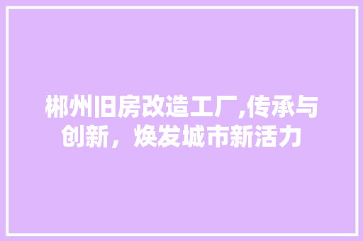 郴州旧房改造工厂,传承与创新，焕发城市新活力