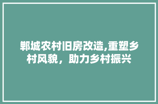 郸城农村旧房改造,重塑乡村风貌，助力乡村振兴 墙体维修