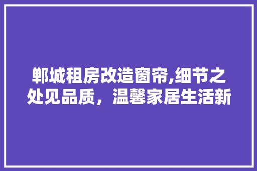 郸城租房改造窗帘,细节之处见品质，温馨家居生活新篇章