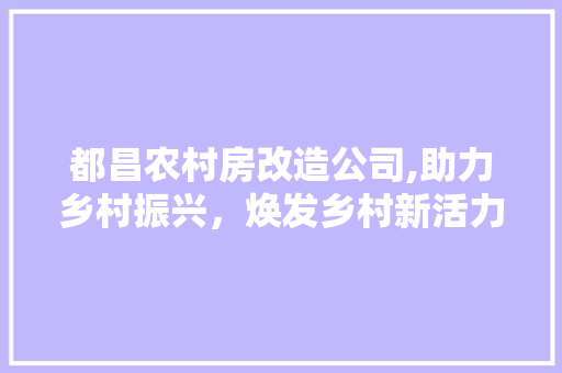 都昌农村房改造公司,助力乡村振兴，焕发乡村新活力 户内维修