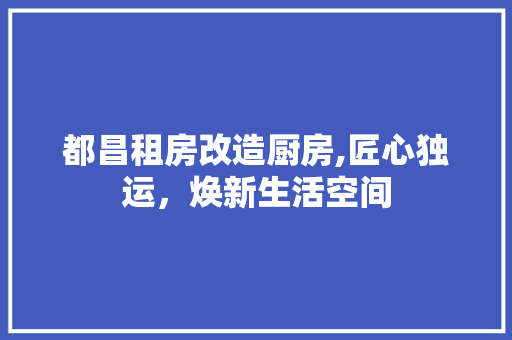 都昌租房改造厨房,匠心独运，焕新生活空间 家电维修