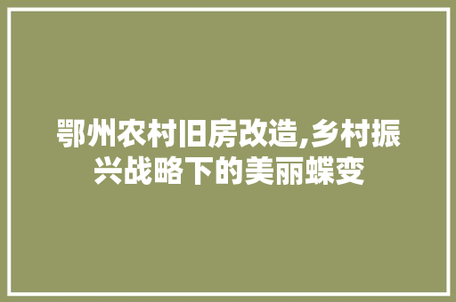 鄂州农村旧房改造,乡村振兴战略下的美丽蝶变 户内维修