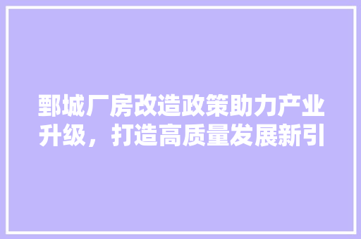 鄄城厂房改造政策助力产业升级，打造高质量发展新引擎