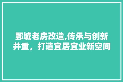 鄄城老房改造,传承与创新并重，打造宜居宜业新空间
