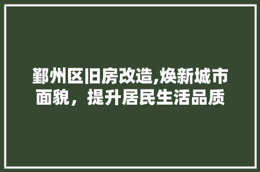 鄞州区旧房改造,焕新城市面貌，提升居民生活品质