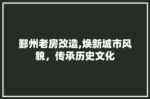 鄞州老房改造,焕新城市风貌，传承历史文化