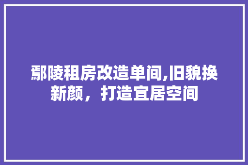 鄢陵租房改造单间,旧貌换新颜，打造宜居空间