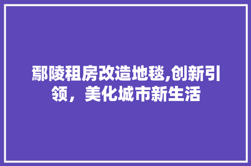 鄢陵租房改造地毯,创新引领，美化城市新生活