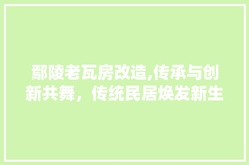 鄢陵老瓦房改造,传承与创新共舞，传统民居焕发新生