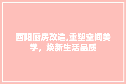 酉阳厨房改造,重塑空间美学，焕新生活品质