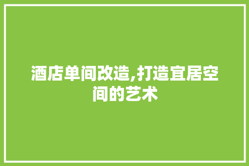 酒店单间改造,打造宜居空间的艺术