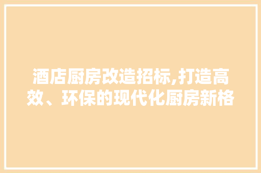 酒店厨房改造招标,打造高效、环保的现代化厨房新格局