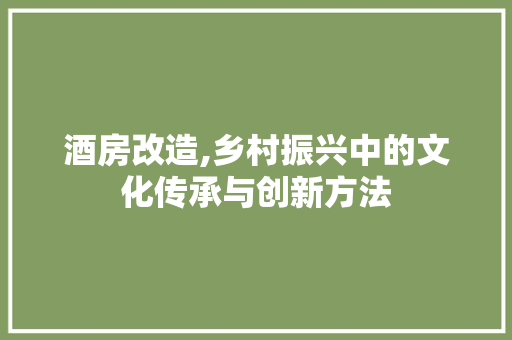 酒房改造,乡村振兴中的文化传承与创新方法