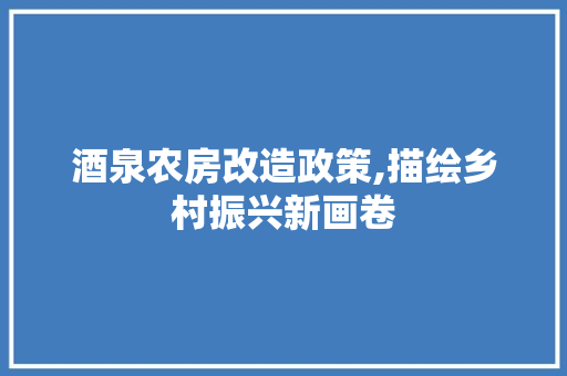酒泉农房改造政策,描绘乡村振兴新画卷 厨房维修