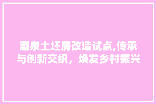 酒泉土坯房改造试点,传承与创新交织，焕发乡村振兴新活力