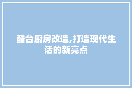 酷台厨房改造,打造现代生活的新亮点