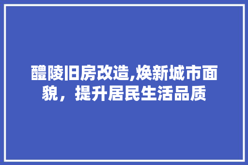 醴陵旧房改造,焕新城市面貌，提升居民生活品质