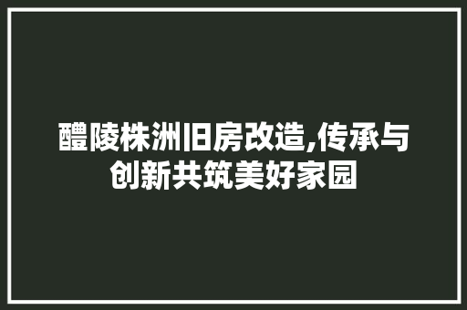 醴陵株洲旧房改造,传承与创新共筑美好家园