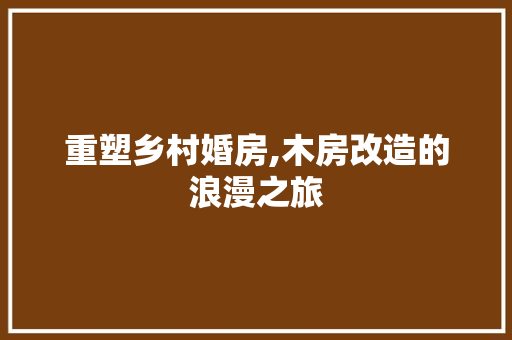 重塑乡村婚房,木房改造的浪漫之旅