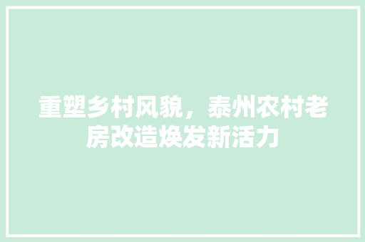 重塑乡村风貌，泰州农村老房改造焕发新活力