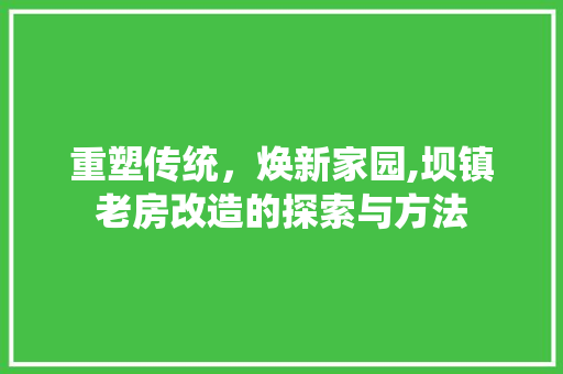 重塑传统，焕新家园,坝镇老房改造的探索与方法