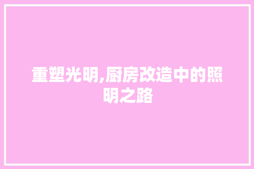 重塑光明,厨房改造中的照明之路